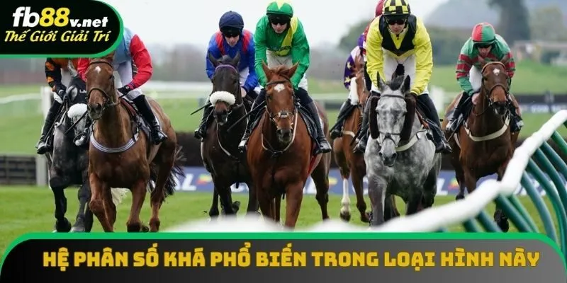 Hệ phân số khá phổ biến trong loại hình này