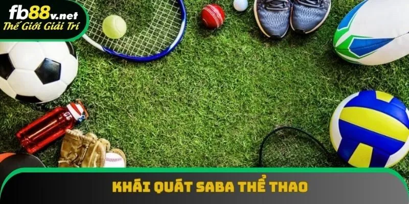 Thông tin giải trí CMD thể thao đáng chú ý