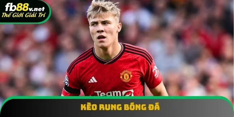 Kèo Rung Là Gì? Tổng Hợp Những Dạng Phổ Thông Nhất