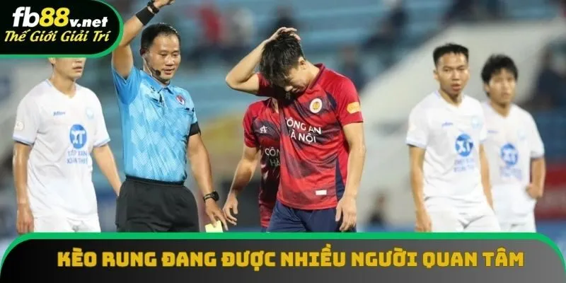 Kèo rung đang được nhiều người quan tâm Kèo rung đang được nhiều người quan tâm