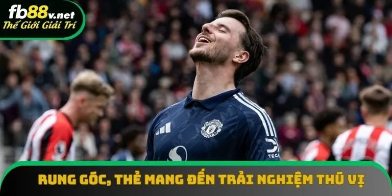 Rung góc, thẻ mang đến trải nghiệm thú vị Rung góc, thẻ mang đến trải nghiệm thú vị