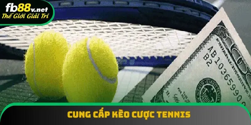 Sảnh thể thao FB88 cung cấp kèo tennis Sảnh thể thao FB88 cung cấp kèo tennis