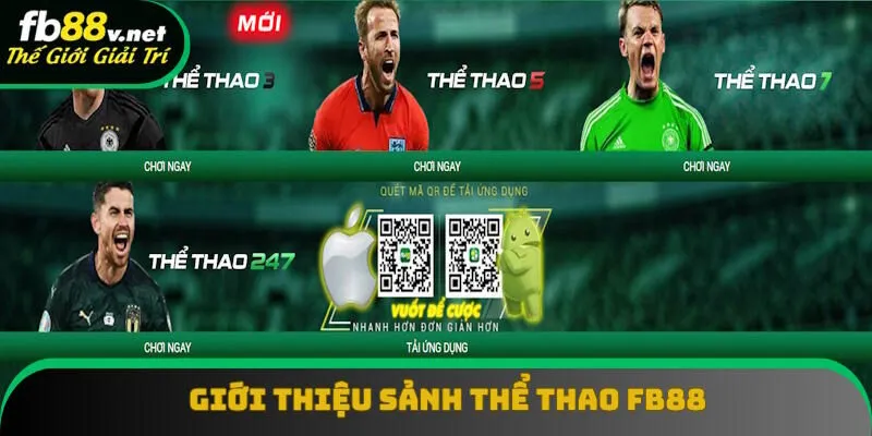 Giới thiệu sảnh thể thao FB88 chi tiết Giới thiệu sảnh thể thao FB88 chi tiết