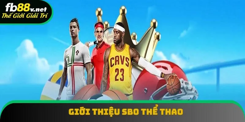 Đôi nét về thương hiệu SBO thể thao