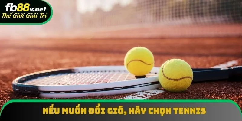 Tennis đang đem tới nhiều cơ hội thắng lớn