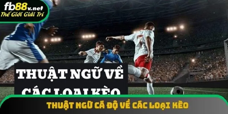 Thuật ngữ liên quan đến các loại kèo có sự phong phú Thuật ngữ liên quan đến các loại kèo có sự phong phú