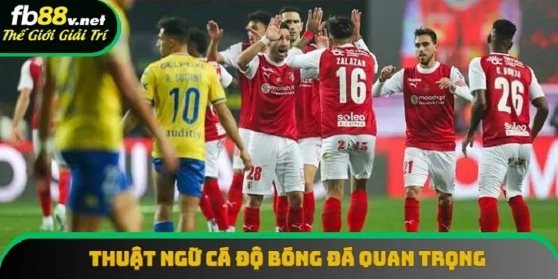 Nắm rõ về sự quan trọng của thuật ngữ cá độ bóng đá Nắm rõ về sự quan trọng của thuật ngữ cá độ bóng đá