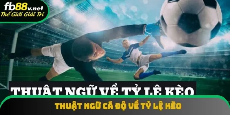 Thuật ngữ về odds phản ánh xác suất xảy ra của một kết quả Thuật ngữ về odds phản ánh xác suất xảy ra của một kết quả