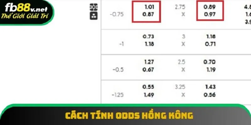 Cách tính HongKong Odds qua ví dụ Cách tính HongKong Odds qua ví dụ