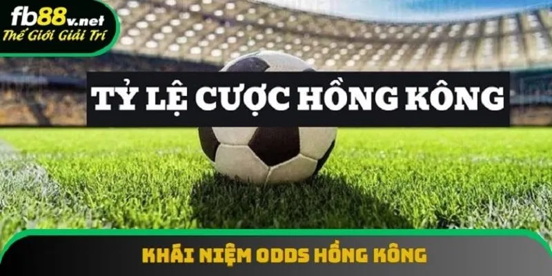 Tìm hiểu khái niệm tỷ lệ cược Hồng Kông Tìm hiểu khái niệm tỷ lệ cược Hồng Kông