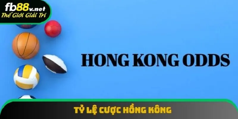Tỷ Lệ Cược Hồng Kông | Cách Tính Nhuận Thắng Kèo Năm 2025